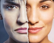 Brain’s Alertness Circuitry Conserved Through Evolution